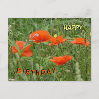Red Poppies Wild Flowers Happy Birthday Briefkaart