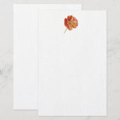 Red Poppy 5,5 x 8,5 inch Briefpapier (Voorkant / Achterkant)