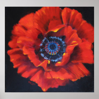 Red Poppy Art Poster