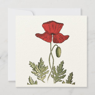 Red Poppy Bedankkaart