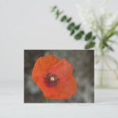 Red Poppy Briefkaart (Staand voorkant)