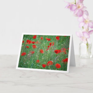 Red Poppy Field Landscape Card Kaart