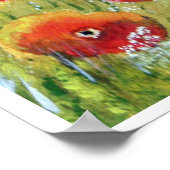 Red Poppy Field - Poster d'art (Coin)