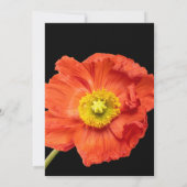 Red Poppy Floral Elegant Modern Custom Wedding (Achterkant)