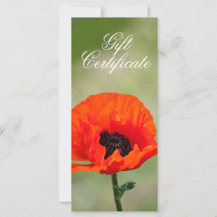 Red Poppy Flower Cadeaubon