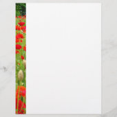 Red Poppy Flower Letterhead Custom Poppies (Voorkant)