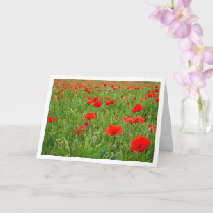Red Poppy Flowers Kaart