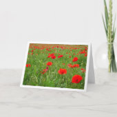 Red Poppy Flowers Kaart (Voorkant)