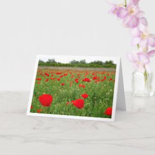 Red Poppy Flowers Kaart