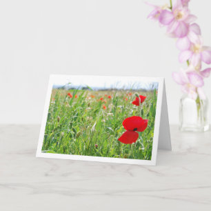 Red Poppy Flowers Kaart