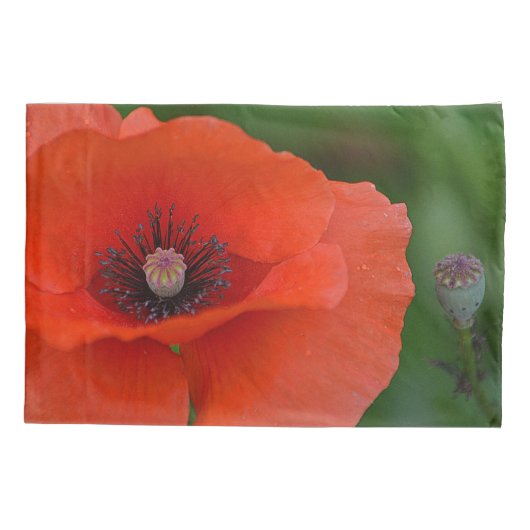 Red Poppy Kussensloop (Achterkant)