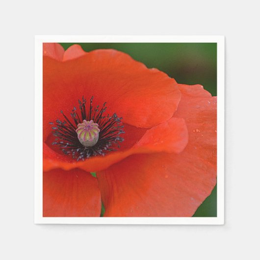 Red Poppy Napkin Servetten (Voorkant)