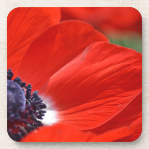 Red Poppy Spring Floral Bier Onderzetter