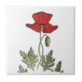 Red Poppy Tegeltje