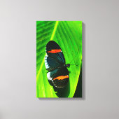 Red Postman Canvas Afdruk (Voorkant)