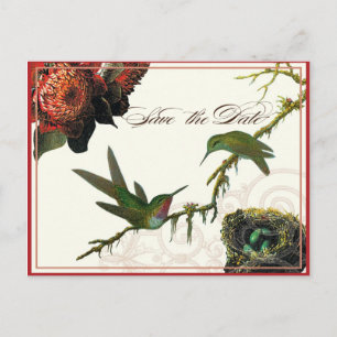 Red Protea Kolibries - Save the Date Briefkaart