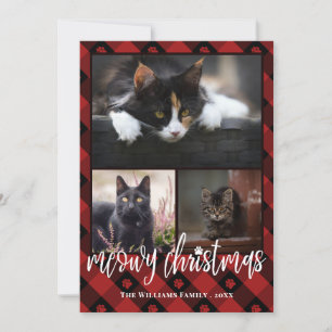 Red Pset Meowy kerstfoto Collage Feestdagenkaart