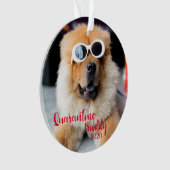 Red Quarantine Buddy Dog Ornament (voorkant)