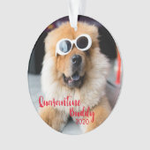 Red Quarantine Buddy Dog Ornament (voorkant)