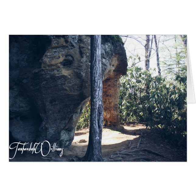 Red River Gorge, KY - Angel's Window LIGHT notes (Voorkant Horizontaal)