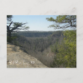 Red River Gorge, KY briefkaart