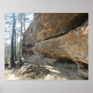 Red River Gorge, KY - Skybridge 2 poster