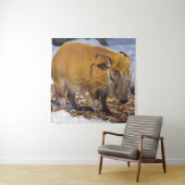 Red River Hog in de sneeuw Wandkleed (In situ)