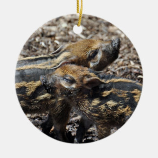 Red River Hog Ornament 2011