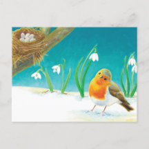 Red Robin Bird & sneeuwdrops Illustratie