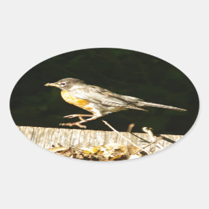 Red Robin Bobbin Ovale Sticker