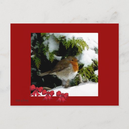 Red Robin Briefkaart (Voorkant)