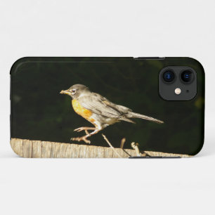 Red Robin iPhone 11 Hoesje
