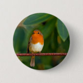 Red ROBIN Ronde Button 5,7 Cm (Voorkant)