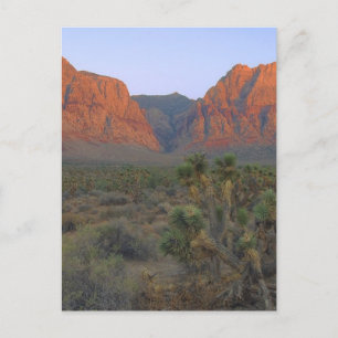 Red Rock Canyon National Conservation Area Briefkaart