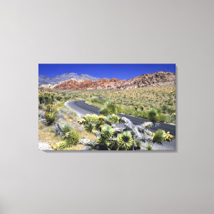 Red Rock Canyon National Conservation Area, Las Canvas Afdruk