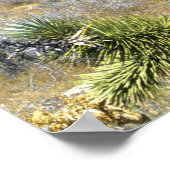 Red Rock Canyon National Conservation Area, Las Poster (Hoek)