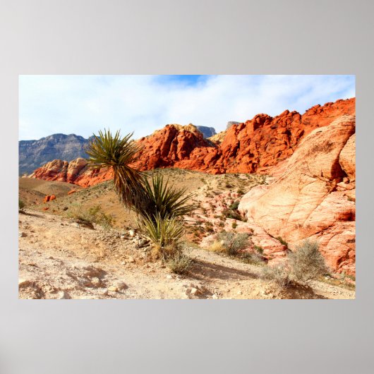 Red Rock Canyon Spring Mountains Background Poster (Voorkant)