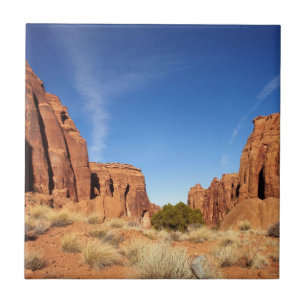Red Rock Canyon Tegeltje