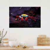 Red Rock Crab Poster (Keuken)
