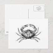 Red Rock Crab (Stille Oceaan) Briefkaart (Voorkant / Achterkant)
