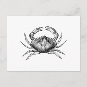Red Rock Crab (Stille Oceaan) Briefkaart