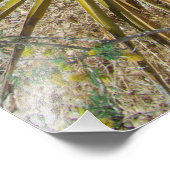 Red Rock Desert Plant Foto Afdruk (Hoek)