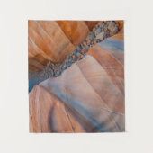 Red Rock Valley of Fire State Park Wandkleed (Voorkant)