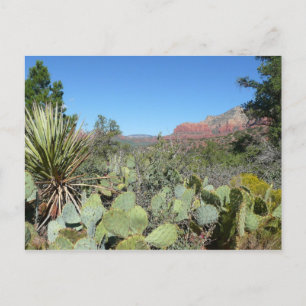 Red Rocks en Cacti I Briefkaart