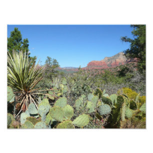 Red Rocks en Cacti I Foto Afdruk