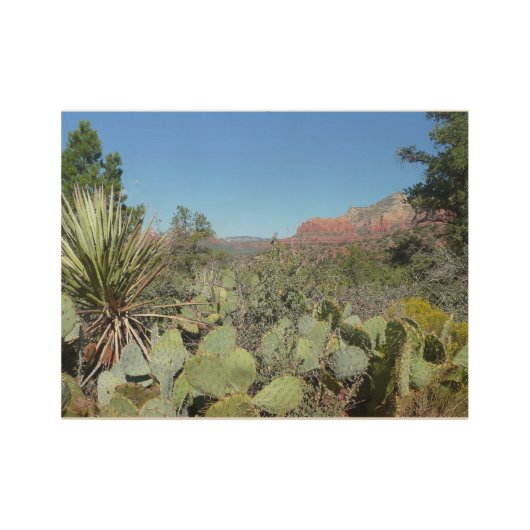 Red Rocks en Cacti I Houten Poster (Voorkant)