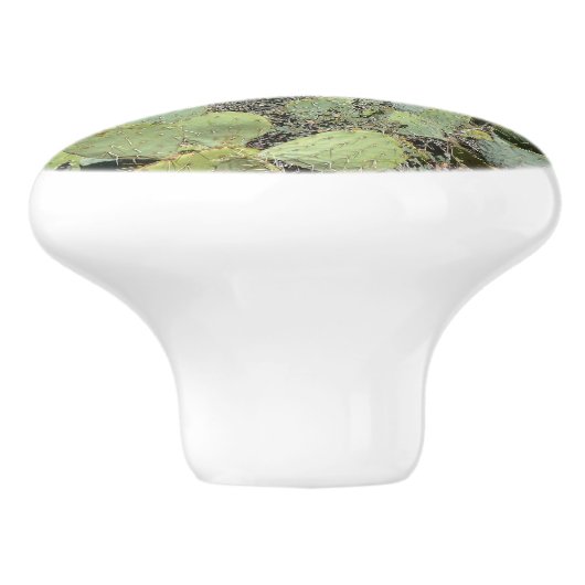 Red Rocks en Cacti I Keramische Knop (Zijkant)