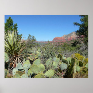Red Rocks en Cacti I Poster