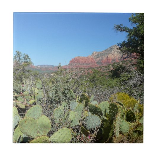 Red Rocks en Cacti I Tegeltje (Voorkant)