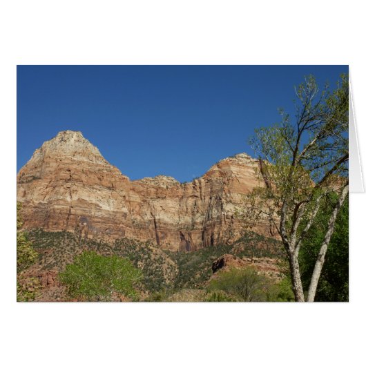Red Rocks in Zion National Park (Voorkant Horizontaal)